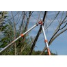 Ebrancheur télescopique PG-19-F