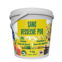 Sang desséché