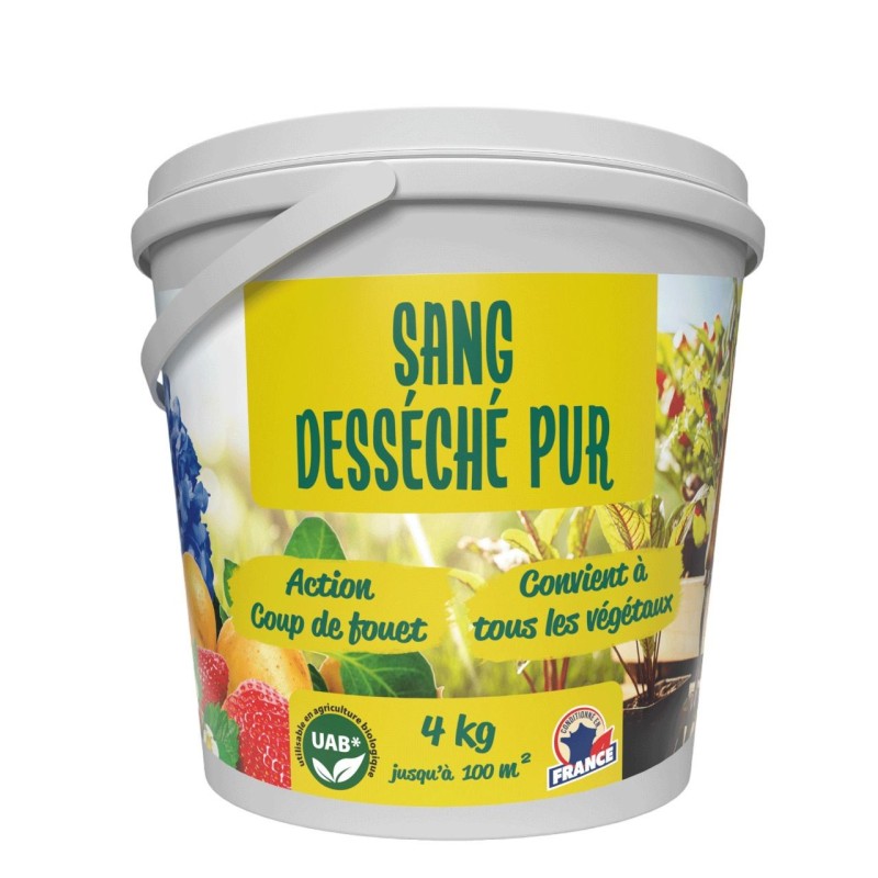 Sang desséché