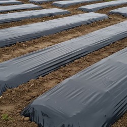 Bâche noire de couvert agricole / ensilage*