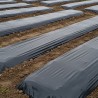 Bâche noire de couvert agricole / ensilage*