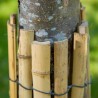 Protection de tronc en bambou