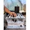 Presse-mottes Spidmot