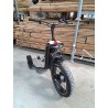Triporteur électrique multifonctions Pico