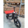 Triporteur électrique multifonctions Pico