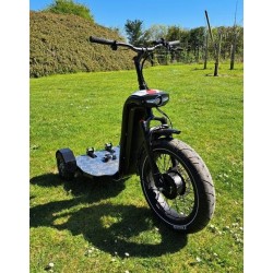 Triporteur électrique multifonctions Pico