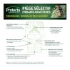 Piège sélectif frelons asiatiques