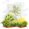 Kit Mur Végétal 4m² Câbles Inox et Plots Composite  Triangle Outillage