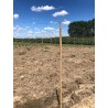 Grillage galvanisé 1,2m x 50m