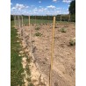Grillage galvanisé 1,2m x 50m