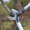 Ebrancheur à enclume Felco 230