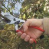 Sécateur Felco 31