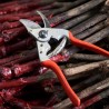 Sécateur Felco F14