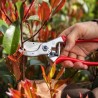Sécateur Felco 4