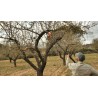 Perche télescopique 1.5m/2.2m pour BCL25IB & BCL240