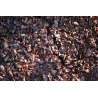Coques de cacao pour paillage de jardin sac de 100 L