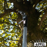 Kit tête de scie pour perche Arborapid 330 mm - Scie