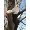 Mastic polyvalent à greffer et cicatriser Polypâte