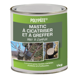 Mastic polyvalent à greffer et cicatriser Polypâte