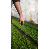 Cultivateur manuel