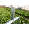 Mini-grelinette, mini-fourche d'aération pour potager et maraîchage