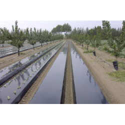 Film polyethylène noir agricole*
