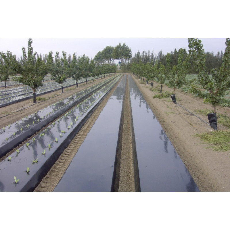 Film polyethylène noir agricole*