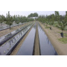 Film polyethylène noir agricole*