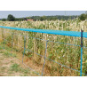 Filet anti-sauvages AKO WildNet 50 m x 63 cm | Triangle Outillage