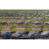 Toile de paillage 130 g/m² - Protection et couverture du sol