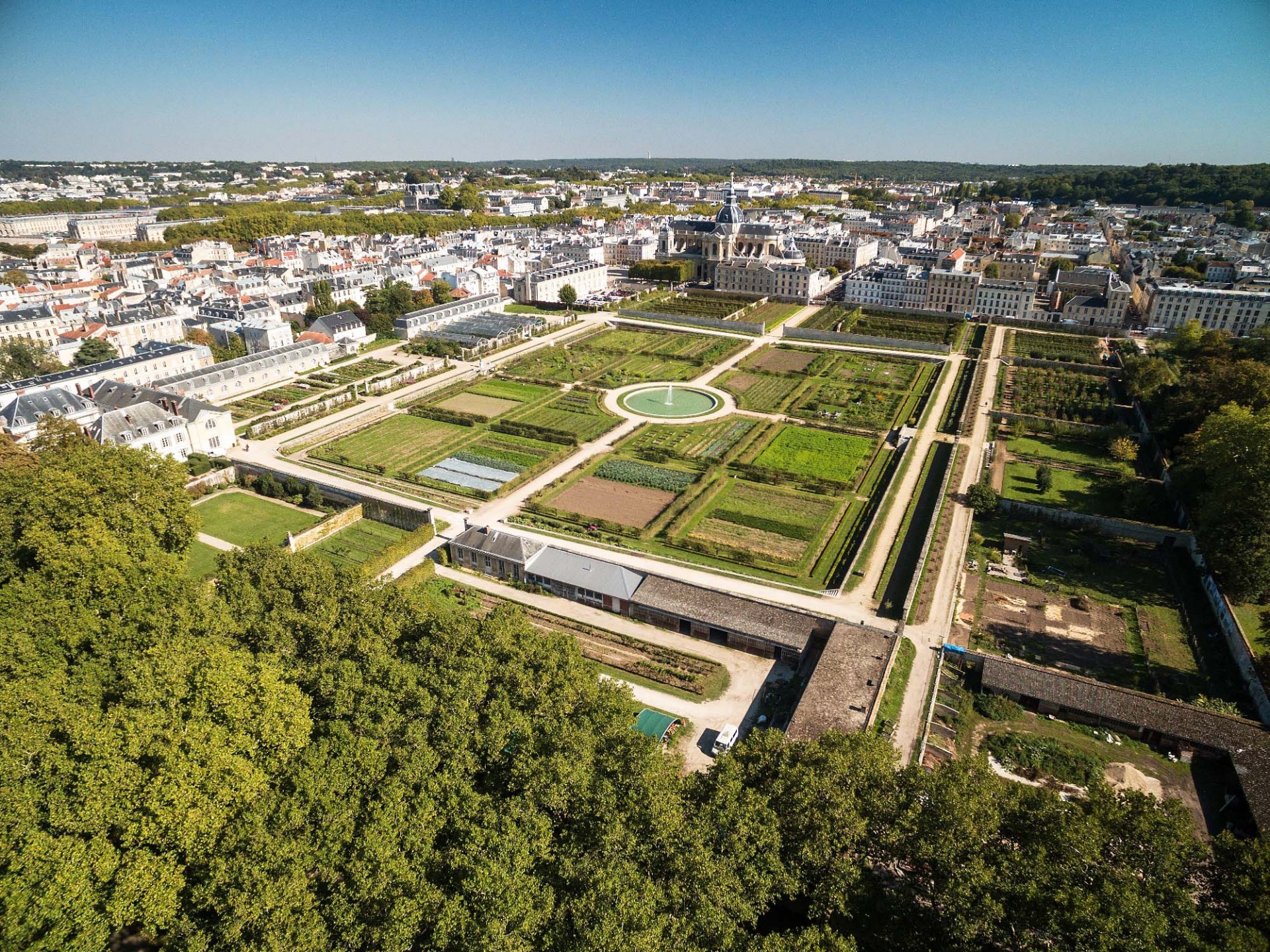 PotagerduRoiVersailles.jpg