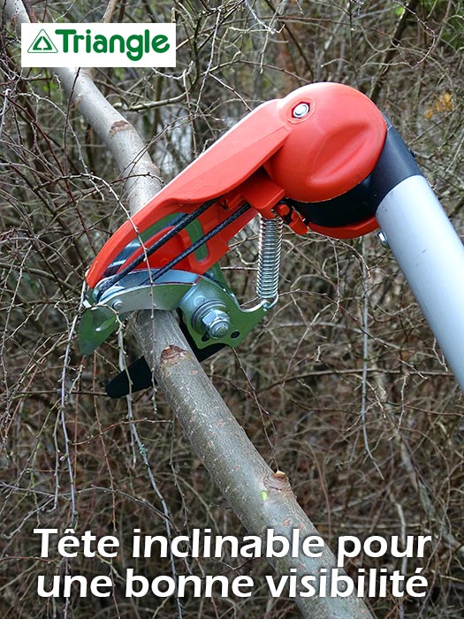 Positionnement dans les branchages