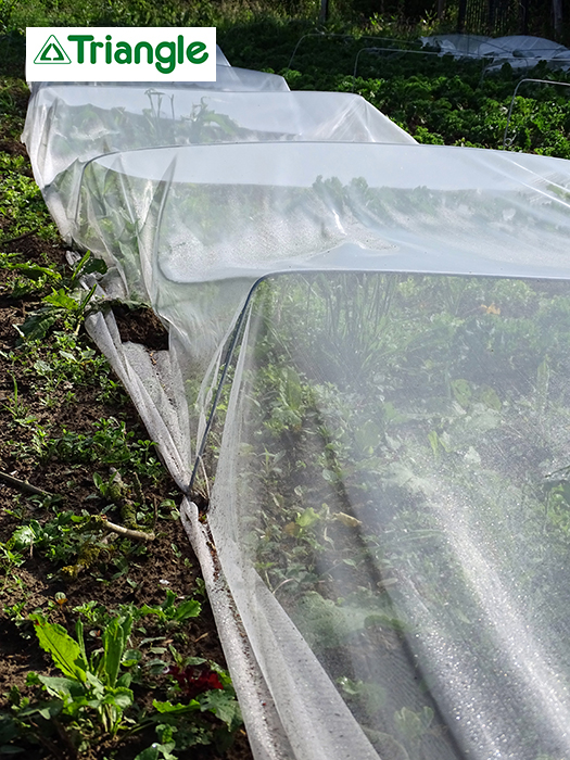 Filet de protection anti-insectes