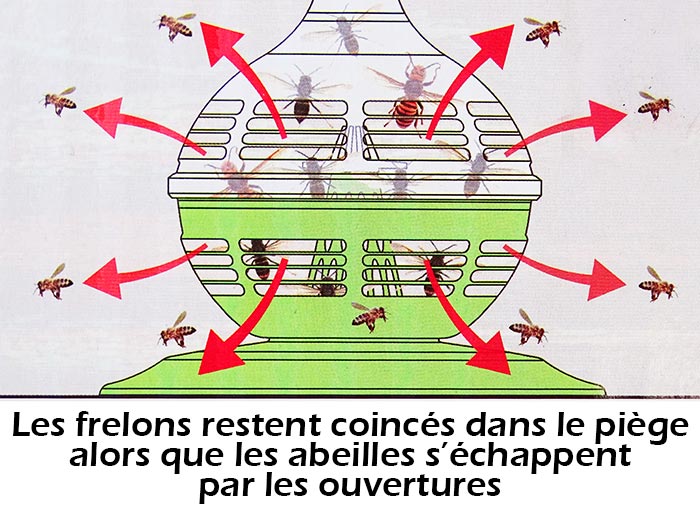 Schéma de fonctionnement du piège sélectif