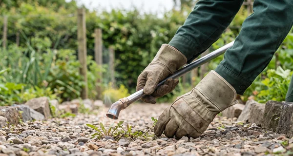 Désherbage thermique d'une allée de jardin envahie de jeunes pousses