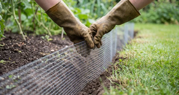 Grillage à maille fine enterré en bordure d'une zone de jardin