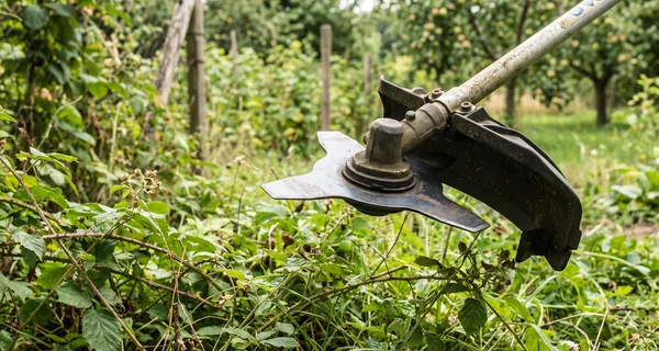Lame à couteaux montée sur une débroussailleuse face à des ronces