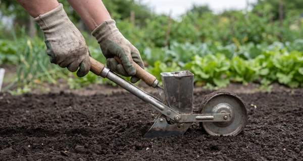 Semoir à pousser ouvrant et refermant un rang au potager