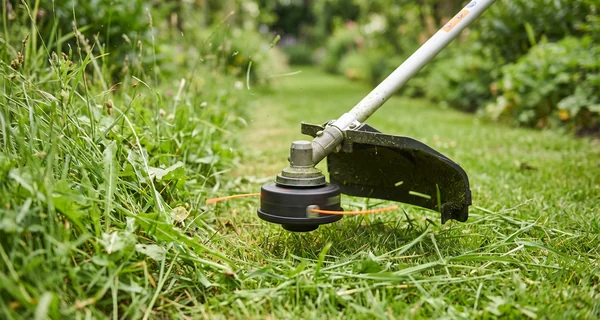 Tête de coupe à fil en action dans de l'herbe haute en bordure