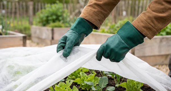 Voile léger posé sur un rang de cultures au potager
