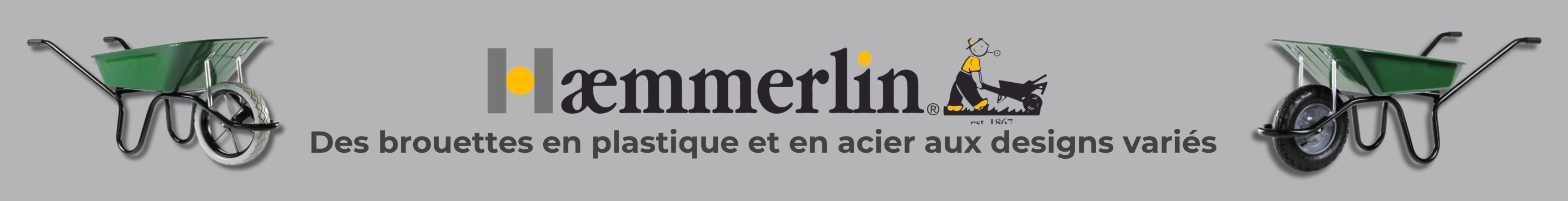 haemmerlin.jpg
