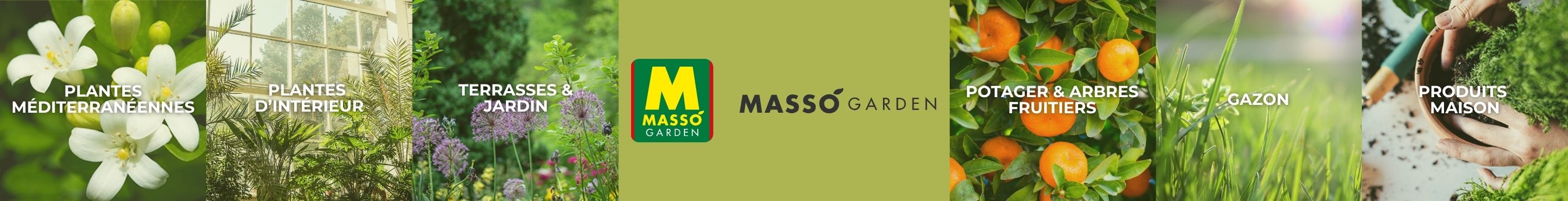 massogarden.jpg