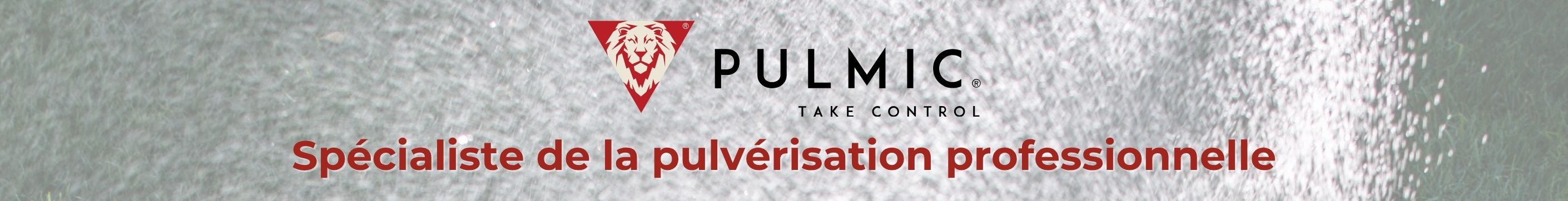 pulmic.jpg