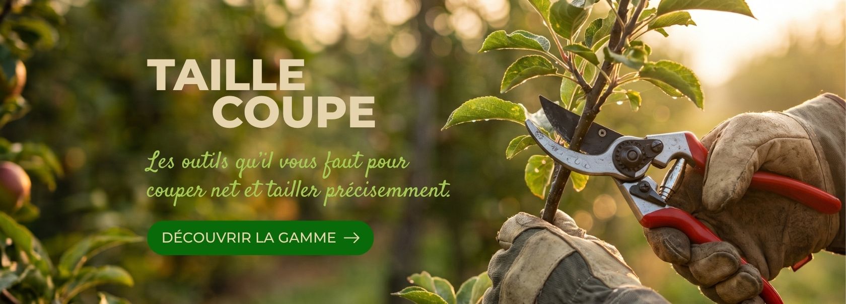 Image bannière