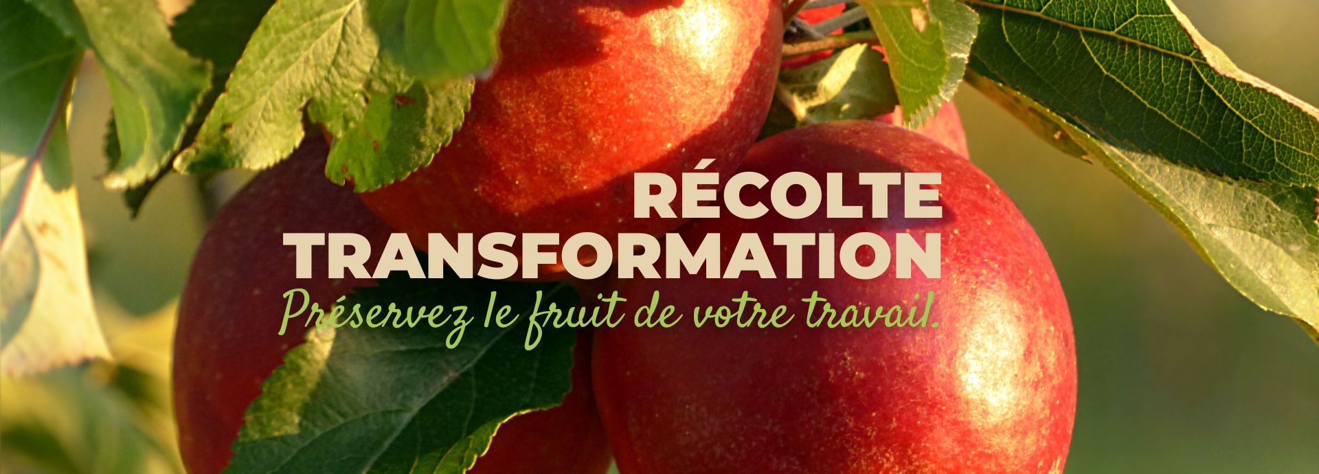 Image bannière
