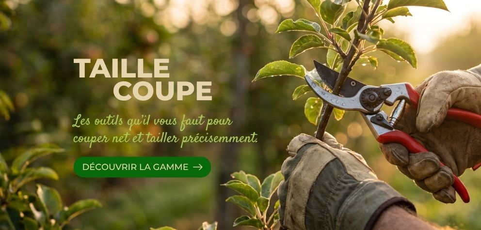 Image bannière